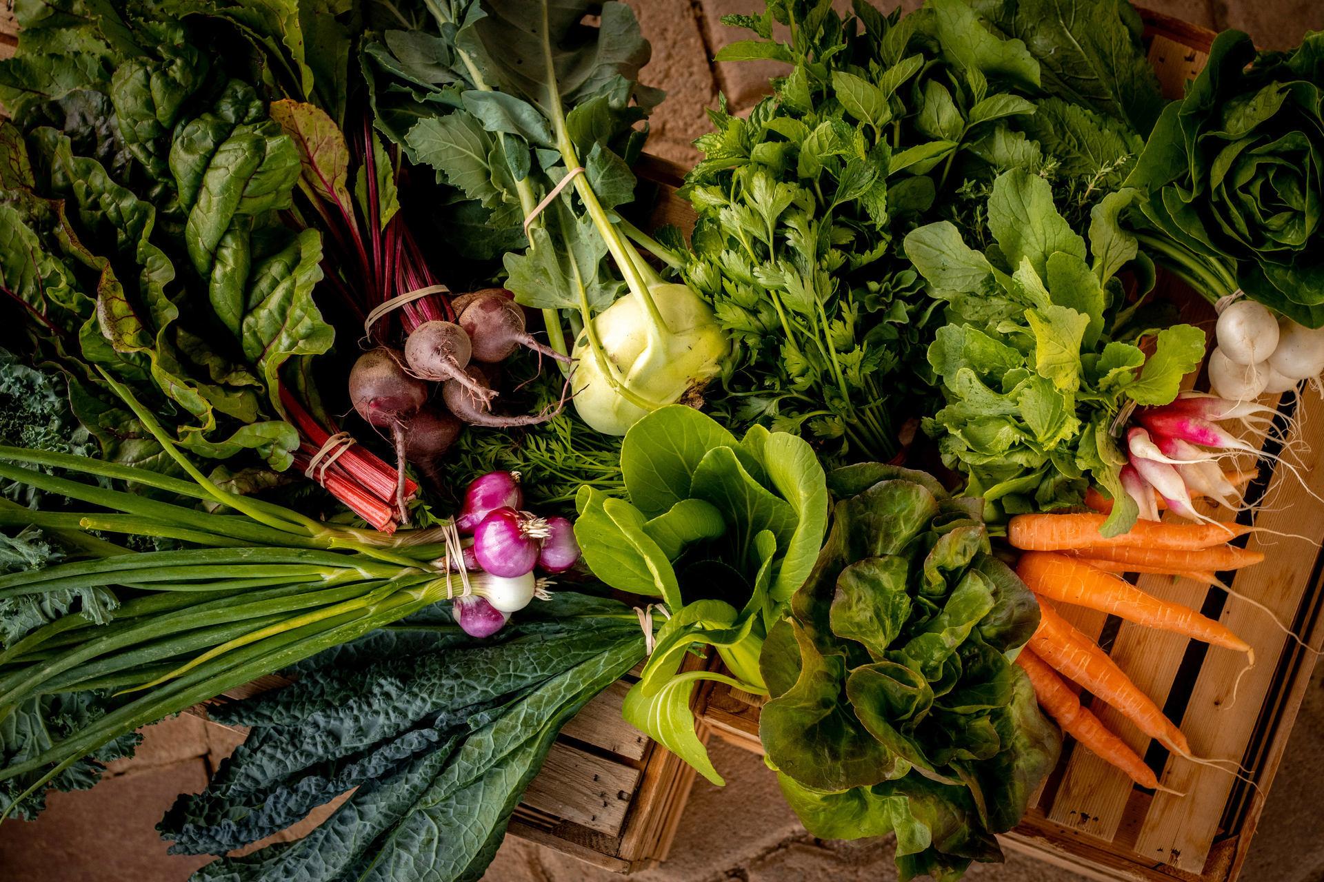 Three Farmers CSA - Maryland