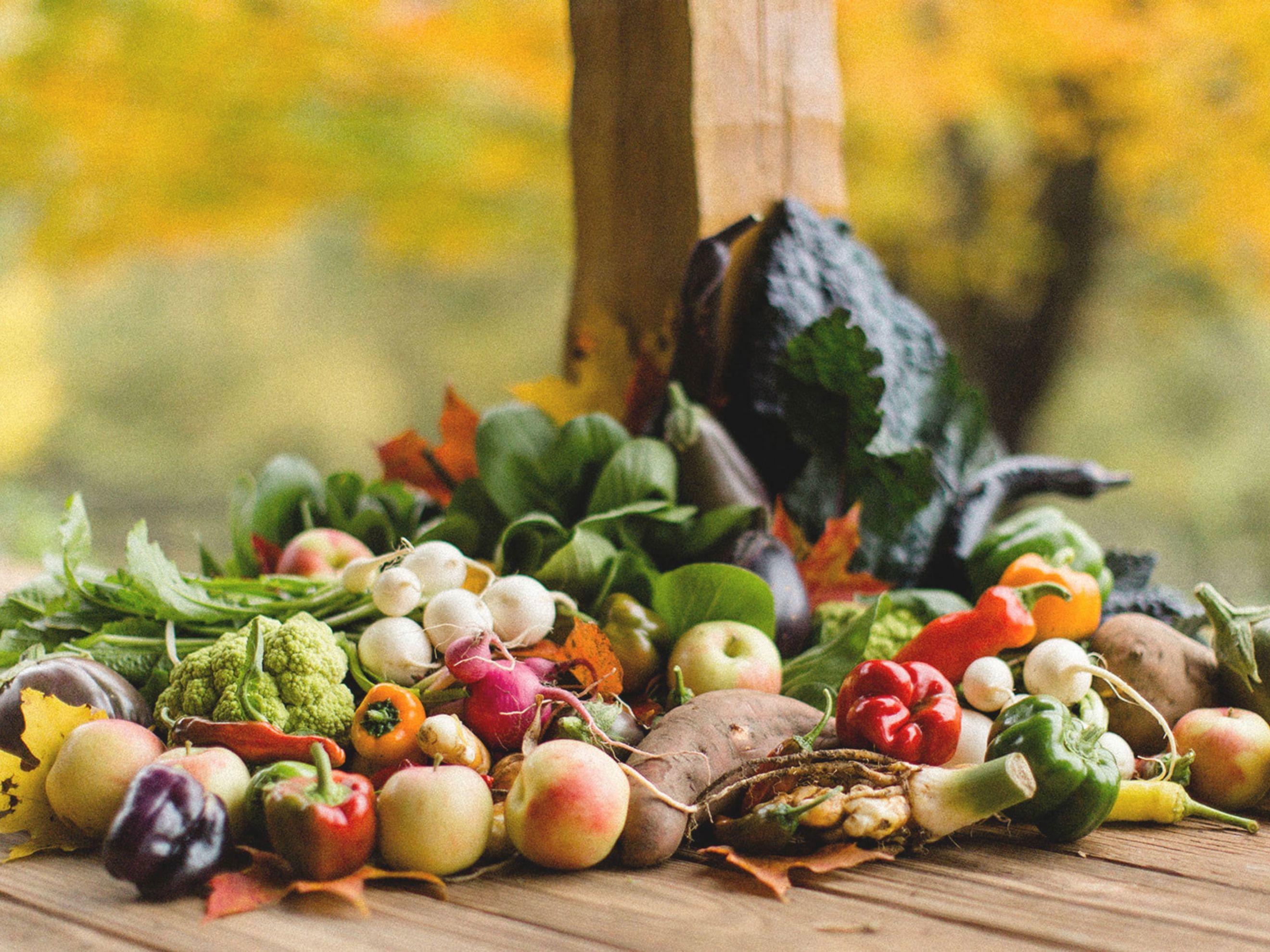 Full Season CSA - Bi-Weekly 🌱