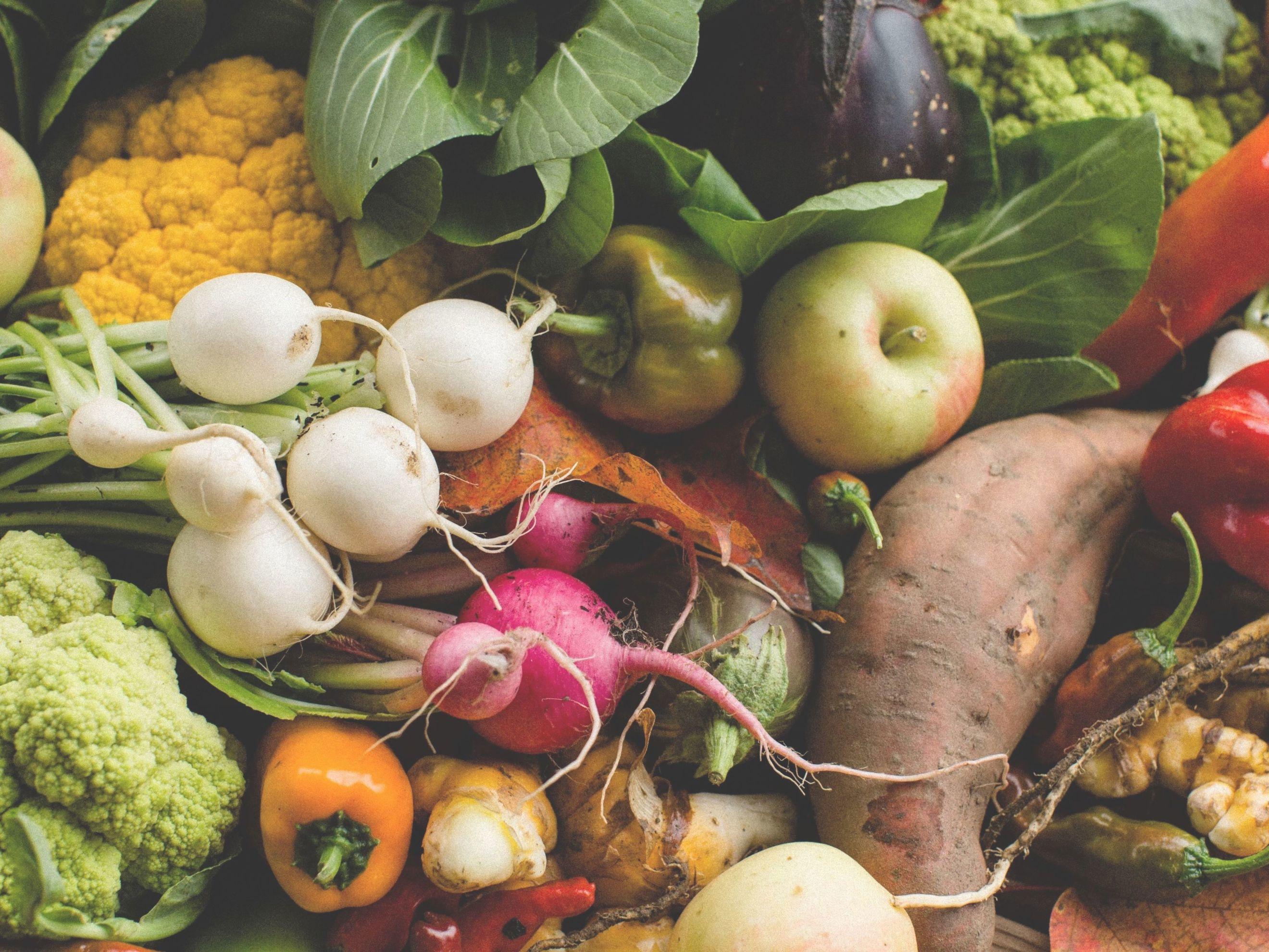 🌱 Full Season CSA - Weekly - 3 Payment Installments